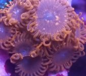 IMG_20180120_222409.jpg