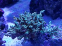 20170513_143948.jpg