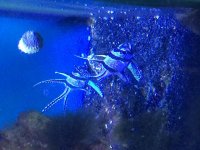 2017-08-16_20-57-45_761.jpg