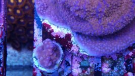 IMG_20180120_222526.jpg