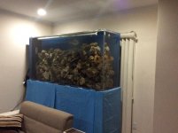 IMG_0319.jpg