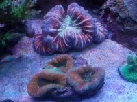 20170513_143928.jpg
