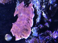 IMG_0893.jpg