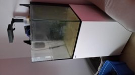 tank2.jpg