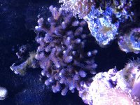 IMG_0892.jpg