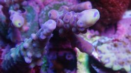 IMG_20180706_235501_869.jpg