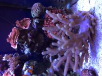 IMG_7528.JPG