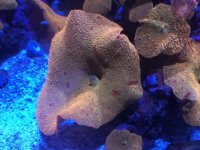 IMG_0496.jpg