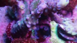 IMG_20180706_235504_072.jpg