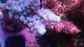 IMG_20180706_235459_668.jpg