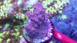 IMG_20180706_235831_684.jpg