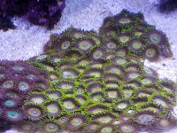 20171021_081816.jpg
