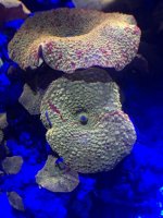 IMG_0491.jpg