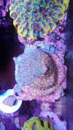 IMG_20180625_161709_884.jpg
