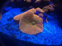 IMG_0510.jpg