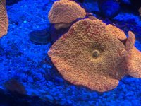 IMG_0513.jpg