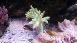 20170722_115004.jpg
