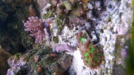 20170719_103919.jpg