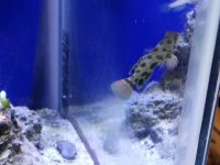 20180121_135842.jpg