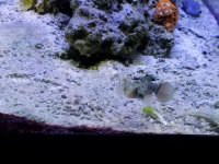 20180121_135855.jpg