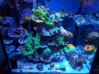 20161205_154754.jpg