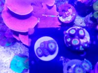 20170728_182215.jpg