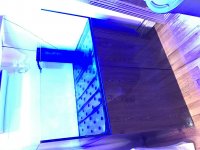 IMG_0018.jpg