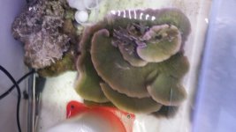 20170107_184058.jpg