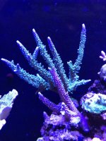 IMG_1867.jpg