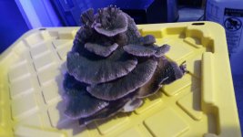 20170107_175115.jpg