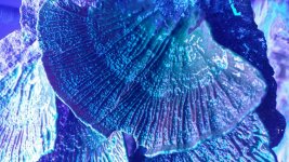 20170107_180524.jpg
