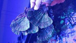 20170107_180513.jpg