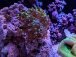 MVIMG_20180121_225332.jpg