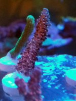 20170108_104820.jpg
