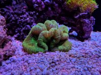 MVIMG_20180121_225342.jpg