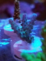 20170108_105309.jpg