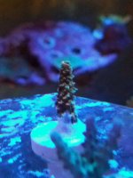 20170108_105516.jpg