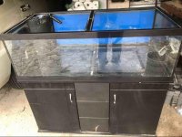 ImageUploadedByReefs2018-07-08 08:53:50 EDT.jpg