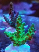 20170108_105704.jpg