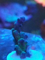 20170108_105916.jpg