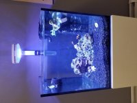 20170516_160714.jpg