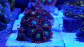 20171021_140110.jpg