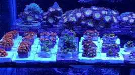 20171021_140139.jpg