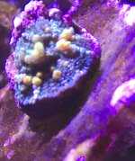 IMG_1934.jpg