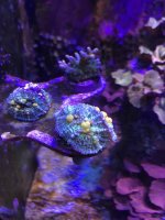 IMG_1937.jpg