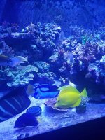 20170727_202427.jpg