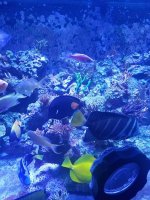 20170727_202431.jpg
