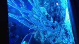 20180702_200751.jpg