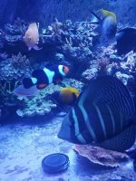 20170727_202447.jpg