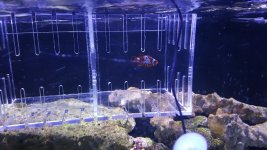 20170516_165449_1494970658598.jpg